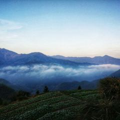 木梨硔七号客栈 User Photo