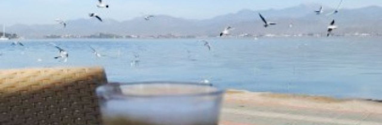 Fethiye Midye Tava - Mezgit Cafe