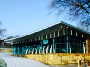 Coffee Culture In The Park