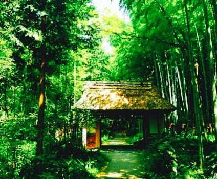 Toraya Kobo
