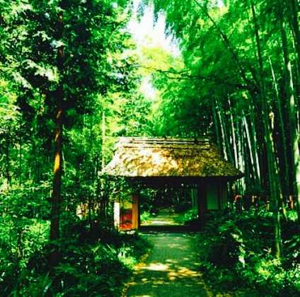 Toraya Kobo