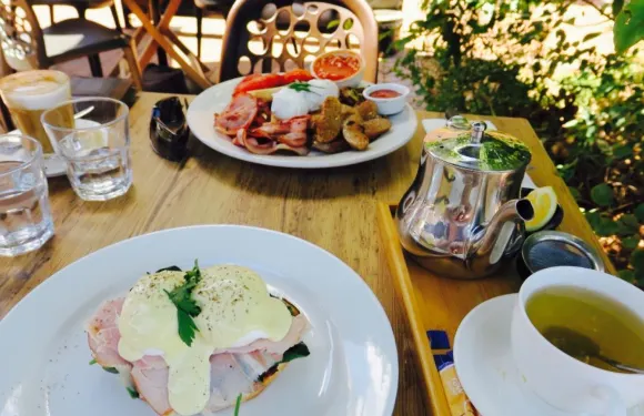 Black Bird Cafe