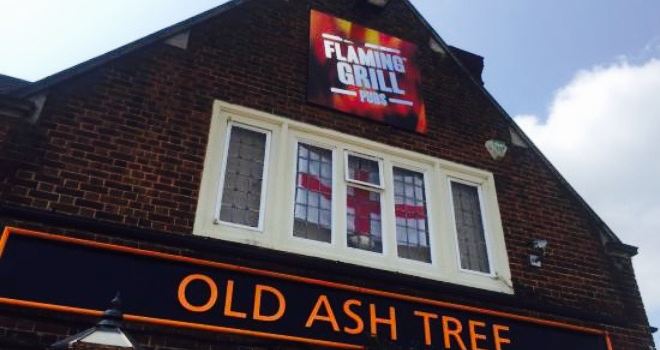Old Ash Tree
