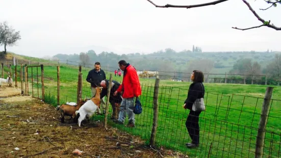 Agriturismo La Raja