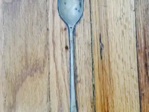 The Frozen Spoon