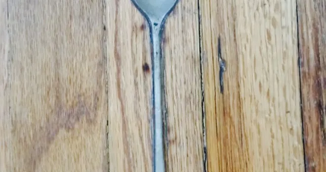 The Frozen Spoon