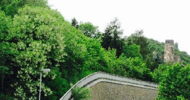 Weingut Schloss Furstenberg