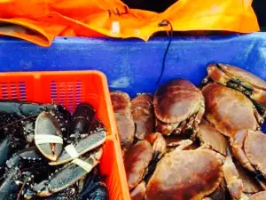 Tiree Lobster and Crab