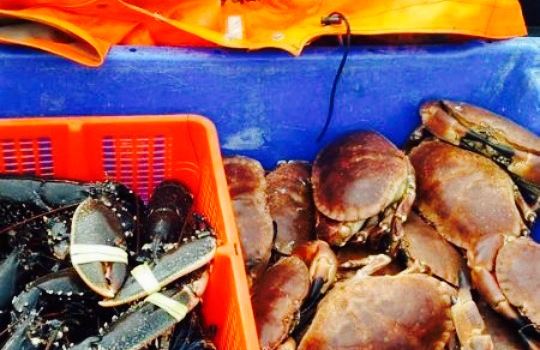Tiree Lobster and Crab