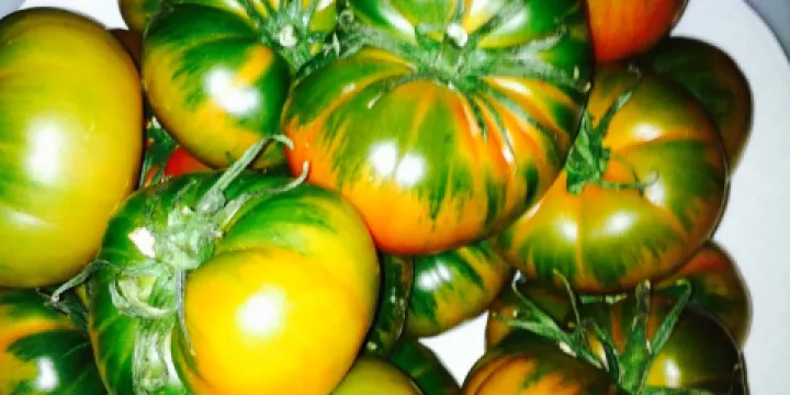 Bar Restaurante Roman