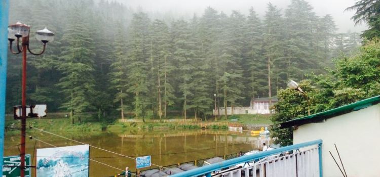 The Dal Lake Cafe & Lounge