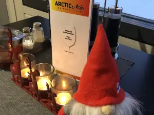 Arctic Asia