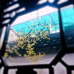 GuYiYuan Restaurant User Photo