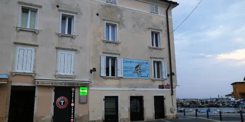 Magical World of Shells Museum