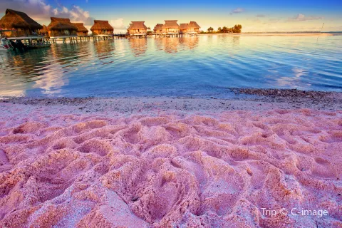 Pink Sands Beach