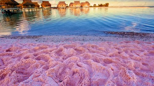 Pink Sands Beach