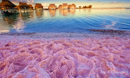 Pink Sands Beach