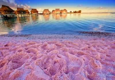 Pink Sands Beach