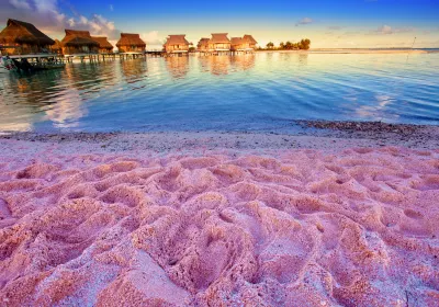Pink Sands Beach