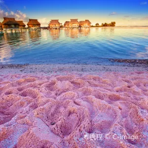 Pink Sands Beach