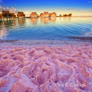 Pink Sands Beach