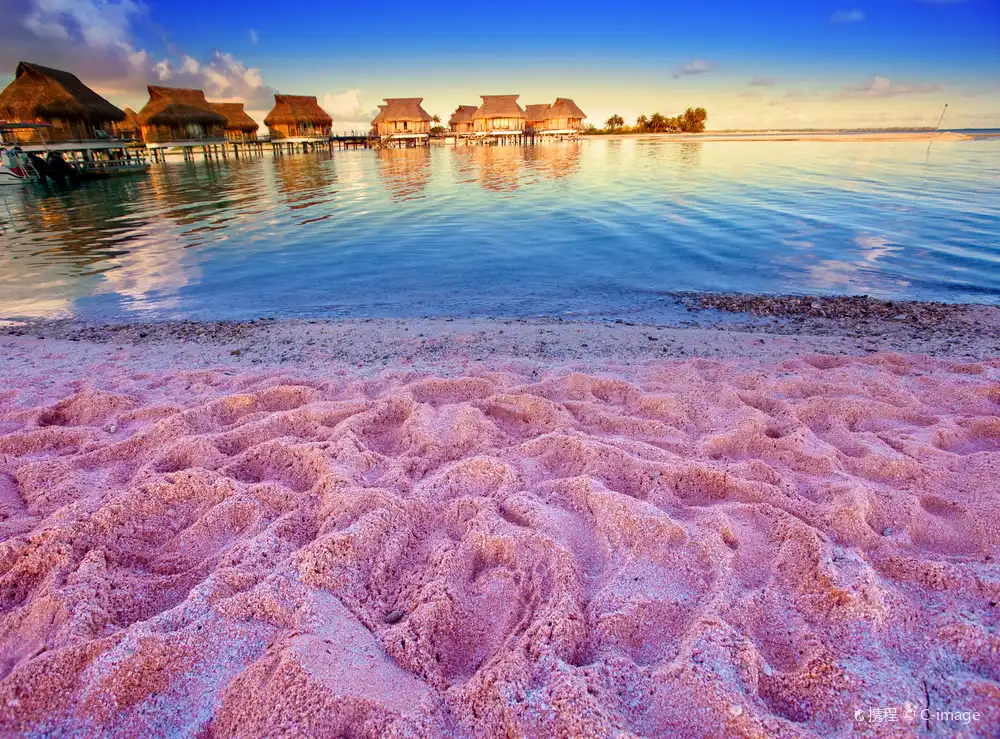 Hotels near Pink Sands Beach