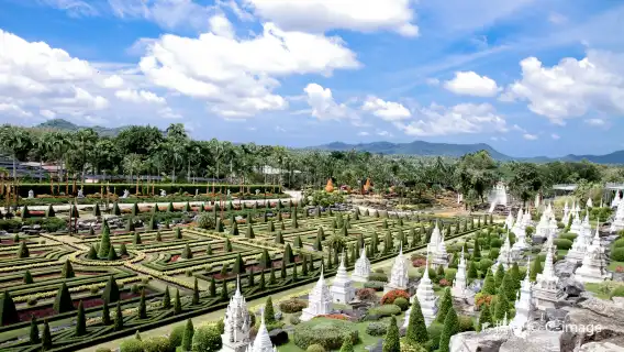 專車暢遊曼谷出發：真理寺+七珍佛山+東芭樂園+Tutu