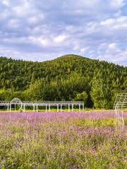 百花山自然保護区