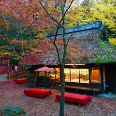 Mizuya Chaya User Photo