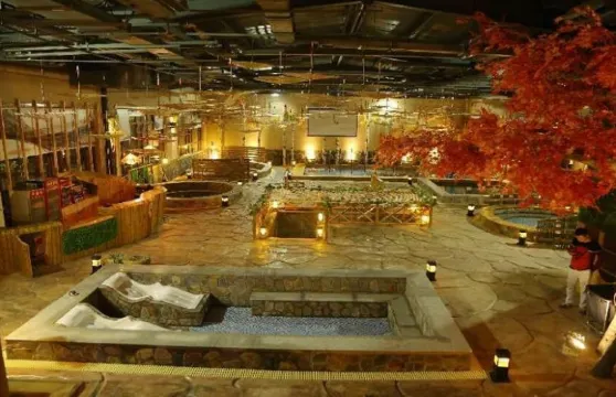 瑤台湯泉門票成人