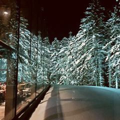 Nipulisenlin Restaurant User Photo