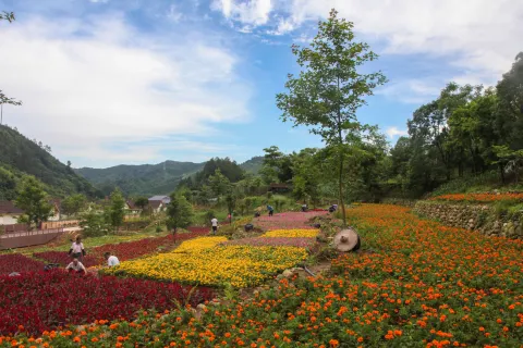 Yashan Scenic Spot