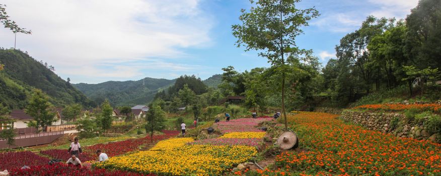 Yashan Scenic Spot