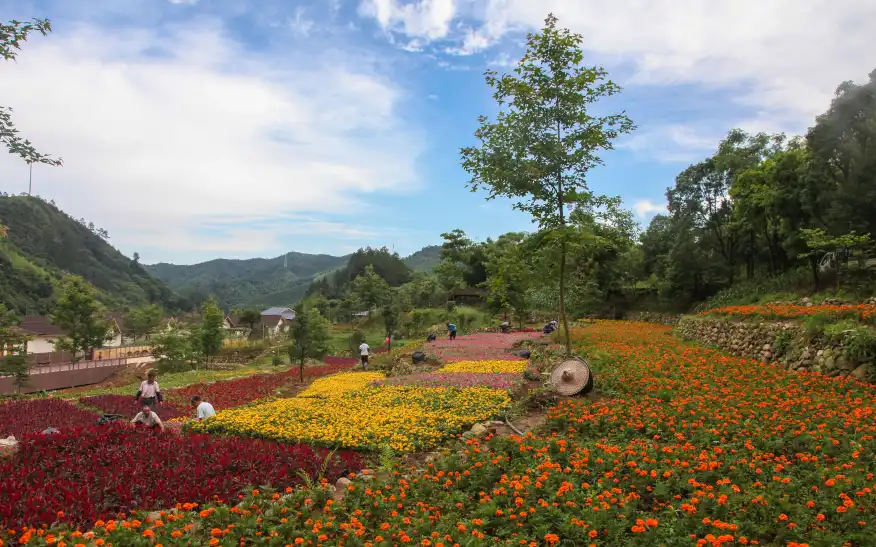 Hotels near Yashan Scenic Spot