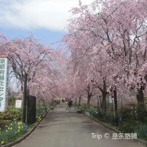 京都府緑化センター