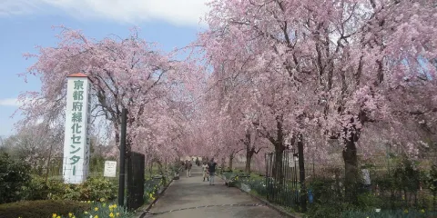 京都府・綠化中心