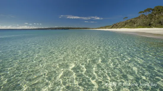 Jervis Bay