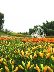 Guanyin Lake