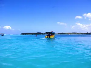 Totof Tours | Blue Bay Mauritius