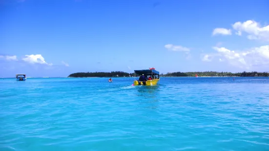 Totof Tours | Blue Bay Mauritius