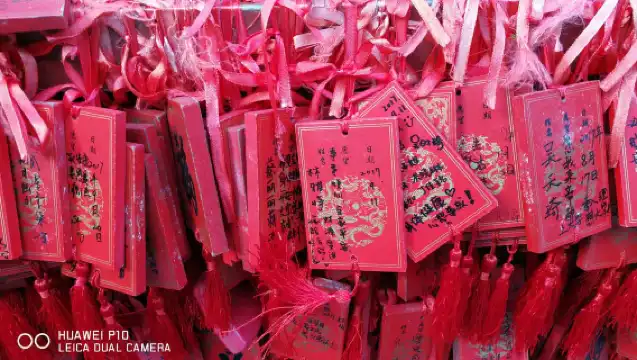 北京圓明園深度3H講解金牌導遊人工講解研學親子一日遊