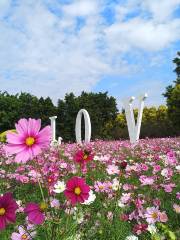 花都香草世界