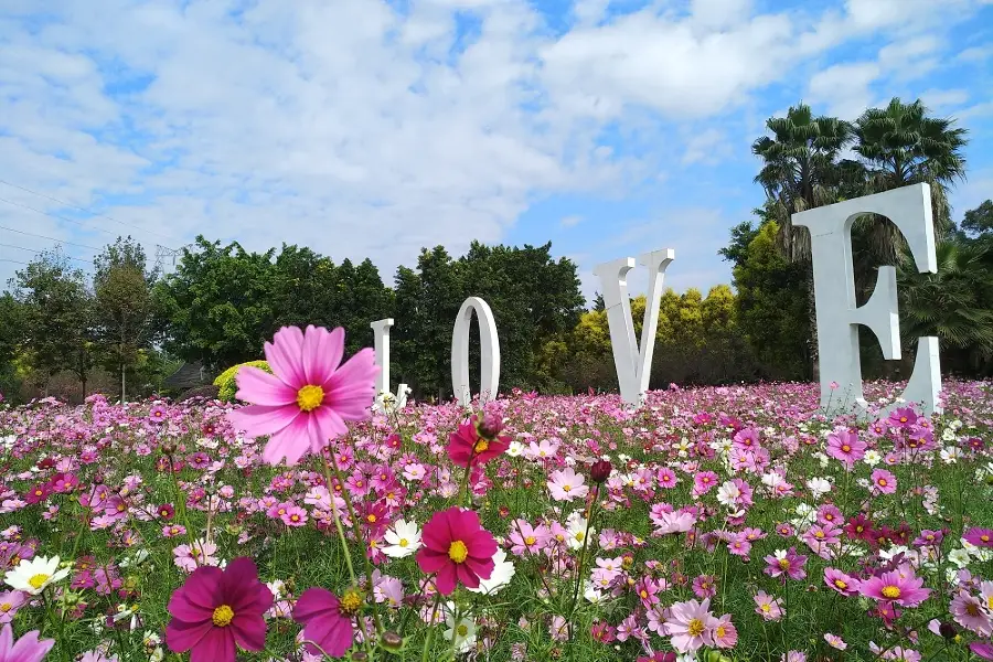 花都香草世界