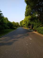 Jingmei River Bikeway