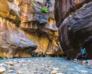 香港-斯普林代爾 機票酒店 自由行