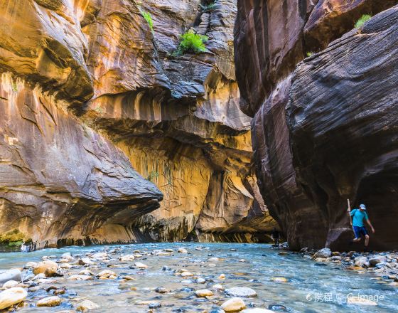 斯普林代爾 自由行套票