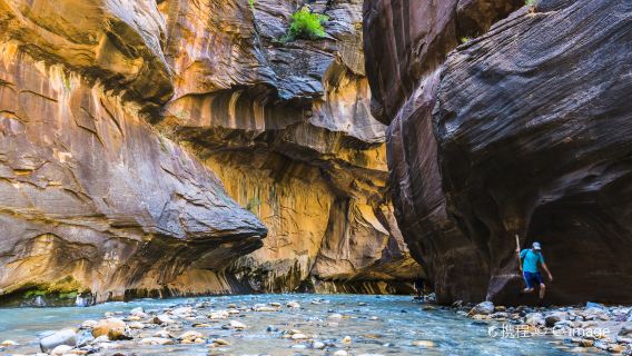 The Narrows
