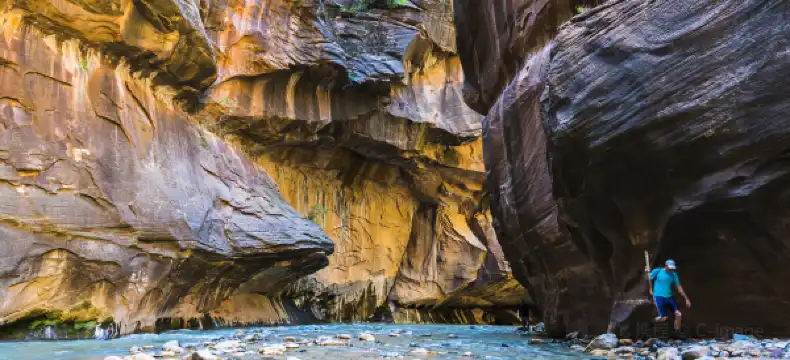 โรงแรมในสปริงเดล