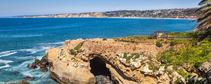 La Jolla Cove