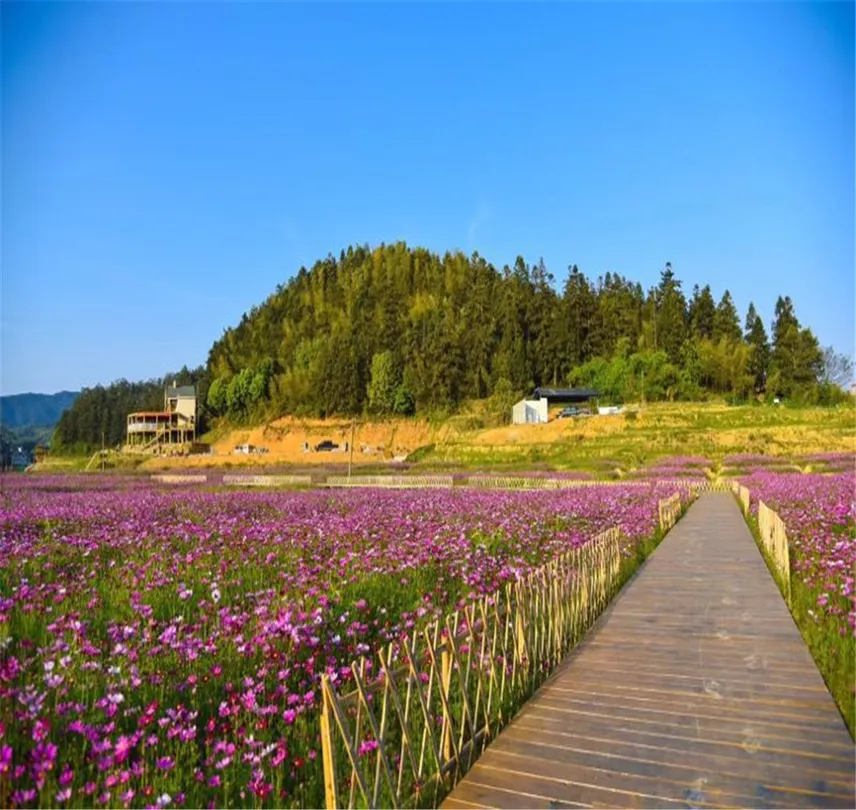 2_桃源裡旅遊度假區花海樂園
